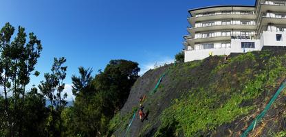 Planting Of Repaired Slope