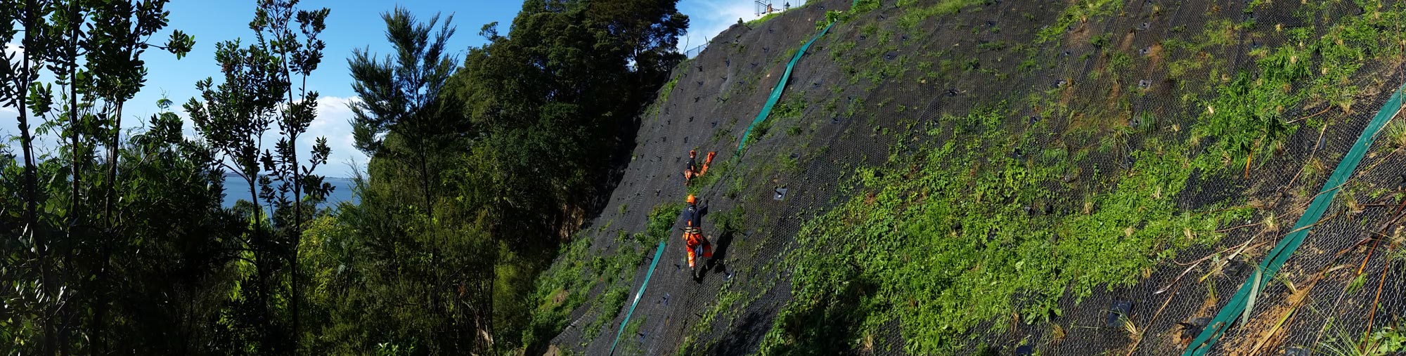 Cliff-stabilisation