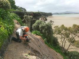 Construction of walkway